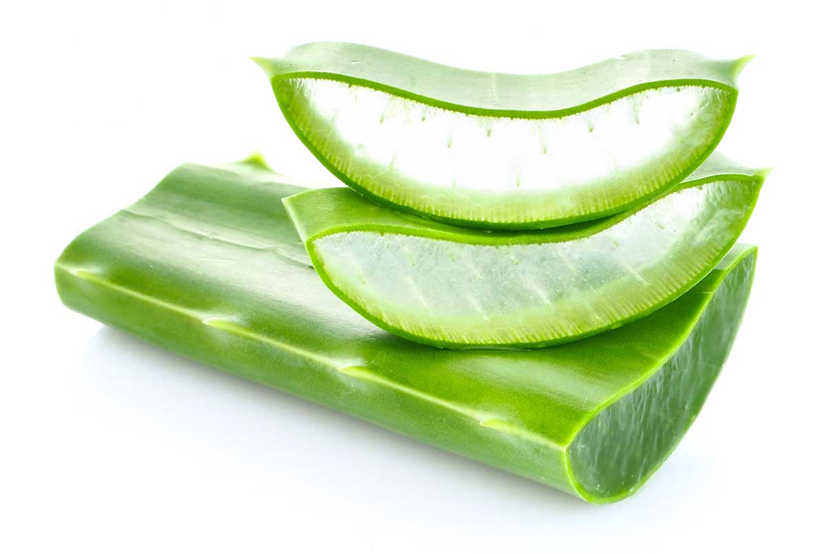 ALOE VERA